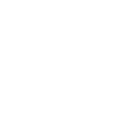 The logo for Modules